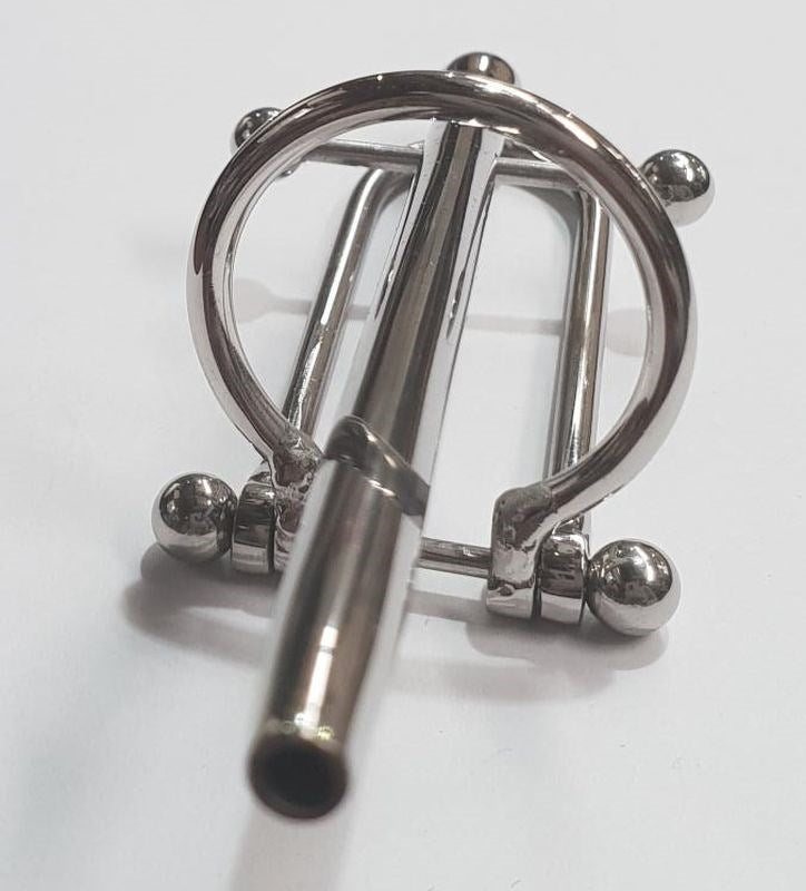 Prince Albert Wand With Barbell & Glans Ring - - Penis Plugs