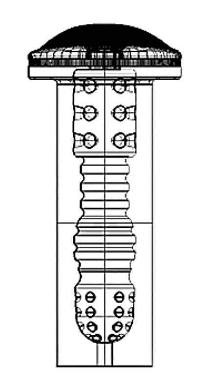 Self Lubrication Masturbator Deluxe Flesh Oral - - Realistic Butts And Vaginas