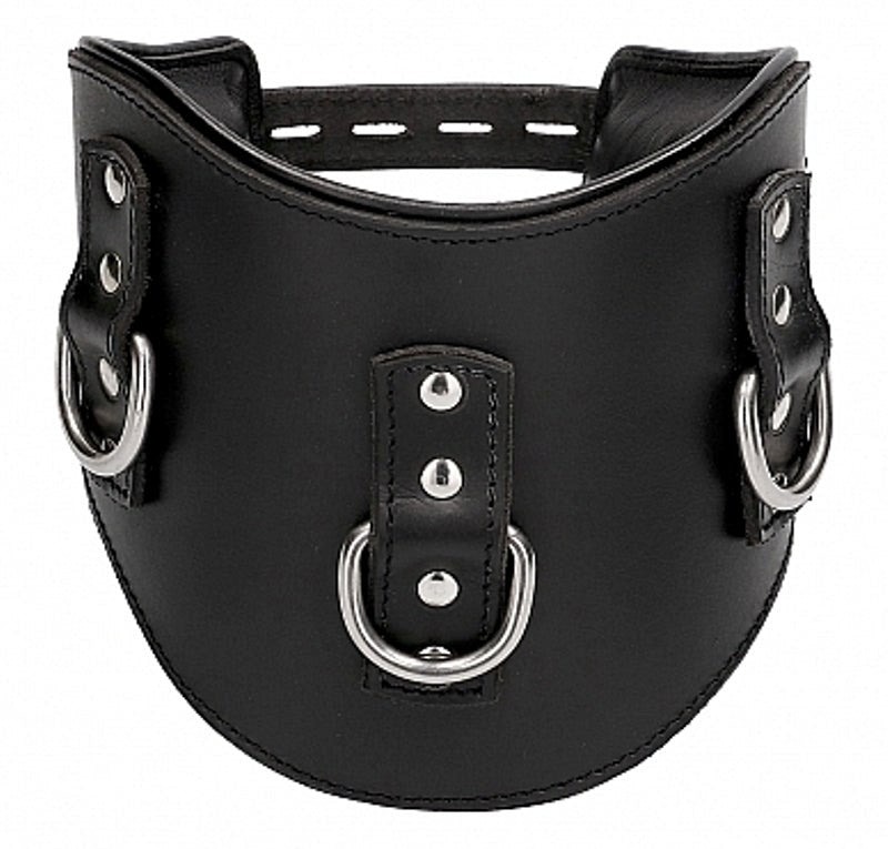 Pain Heavy Duty Padded Posture Collar - - Collars And Cuffs
