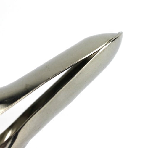 Peep Vagina Speculum - - Dental and Clinical