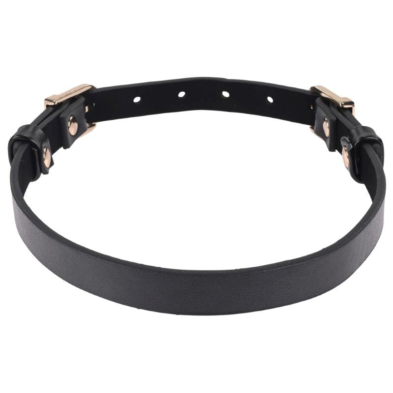 S&M Double Buckle Day Collar - - Collars And Cuffs