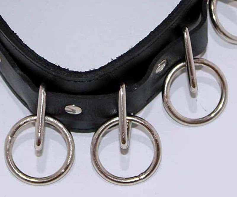 Wild Cat Slaves O-Ring Collar with O-rings and Lead - - Collars And Cuffs