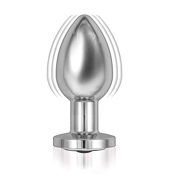 Nasstoys Premium Remote-Controlled Vibrating Metal Plug - Butt Plugs