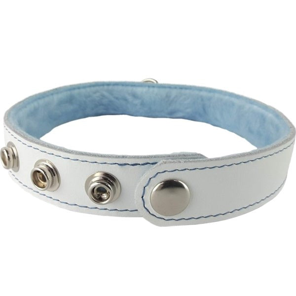 Premium Blue Fur-Lined Leather Collar by Spartacus - Collars and Leads