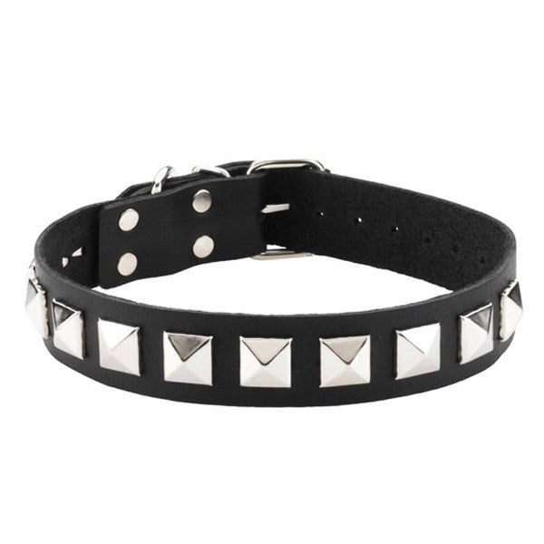 Studded Single Strap D-Ring Control Collar by Spartacus - Collars and Leads