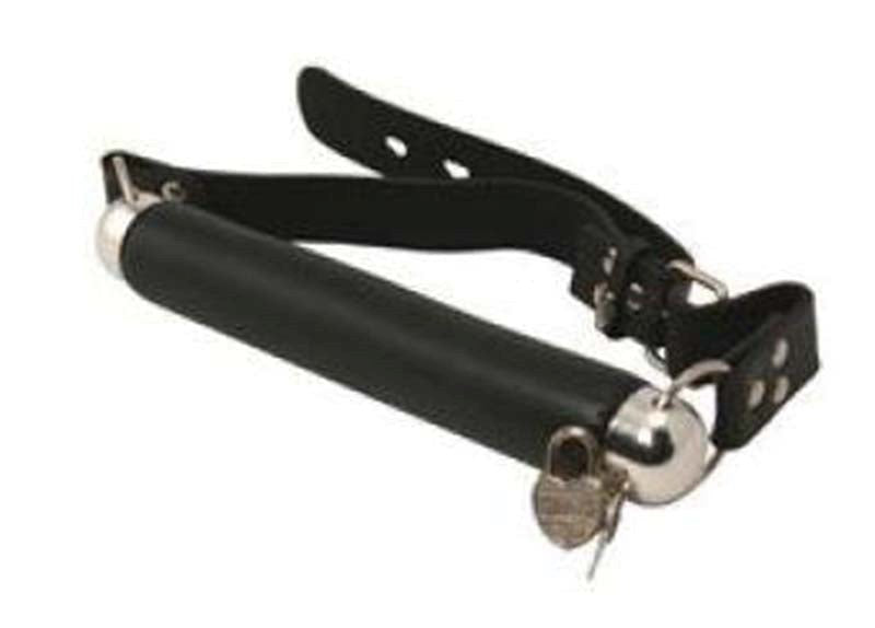Fetish Fantasy Series BDSM Play Bit Gag - Bondage Gags and Bits