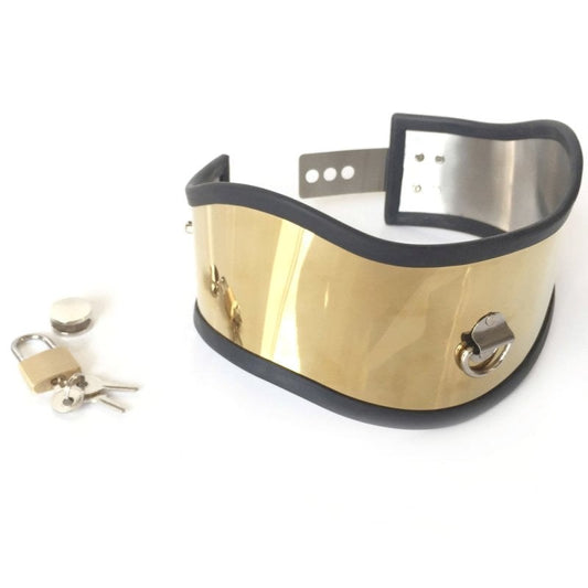 BDStyle Posture Unisex Adjustable Golden Collar Small
