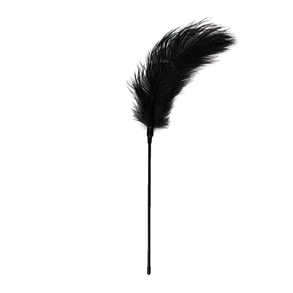 Fetish Collection Bondage Play Feather Tickler - Ticklers
