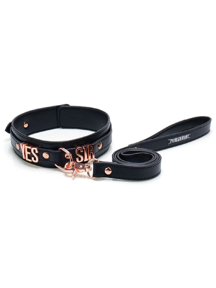 Punishment Rose Gold Yes Sir Collar and Leash by BMS Factory - Collars and Leads