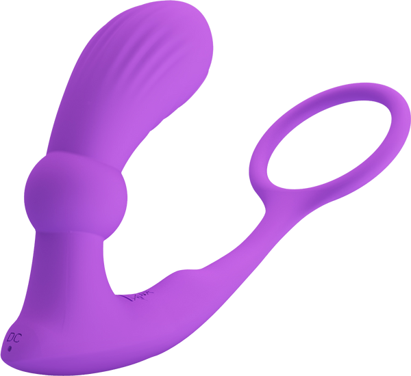 Pretty Love Warren USB Rechargeable 12 Function Prostate Massager Purple - Prostate Toys
