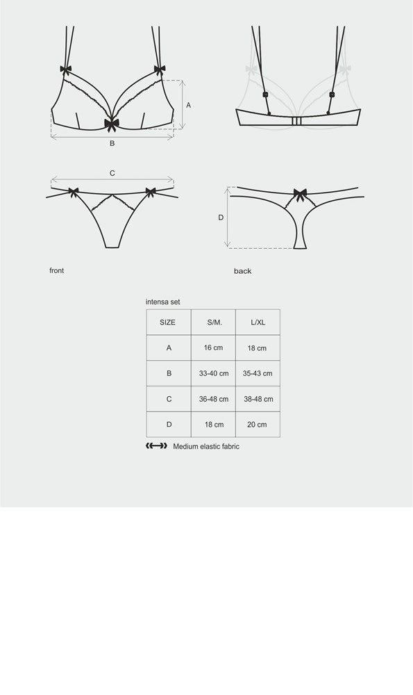 Intensa 2 Piece Womens Bra and Panty Set by Obsessive - Bras and Bra Sets
