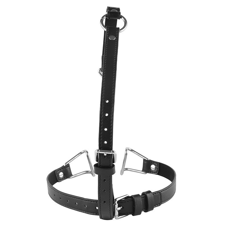 BDStyle Hook Claw Mouth Spreader & Nose Hook - Bondage Gags and Bits