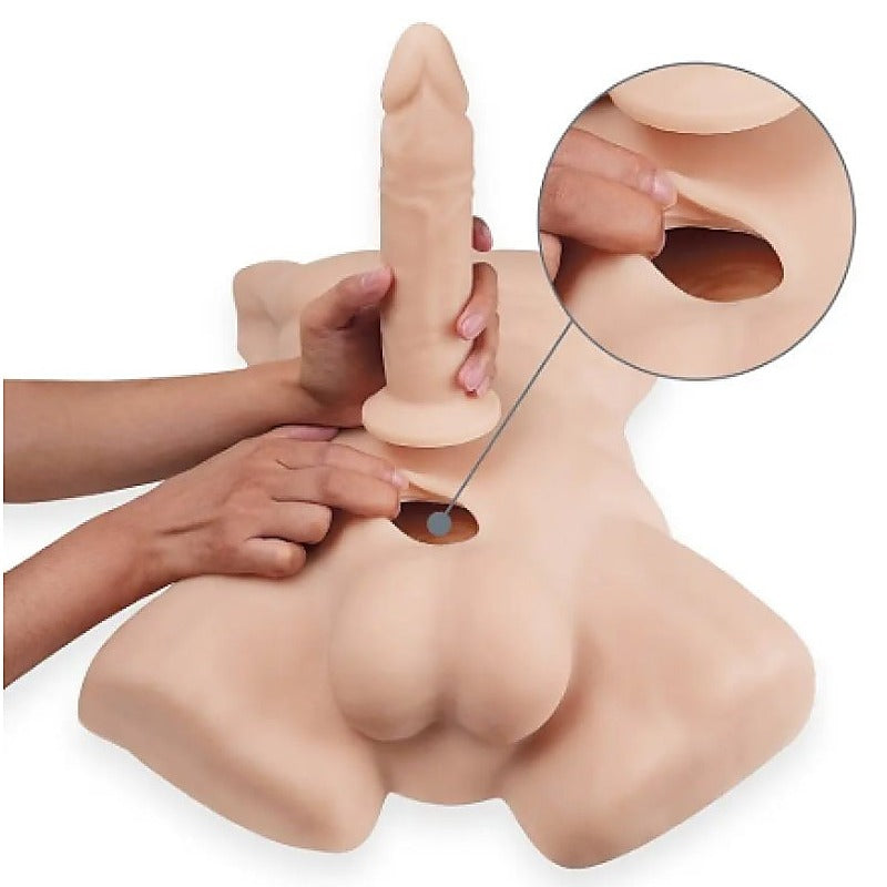 SilexD Apollo L Torso with 7in Dildo by Adrien Lastic - Realistic Butts And Vaginas