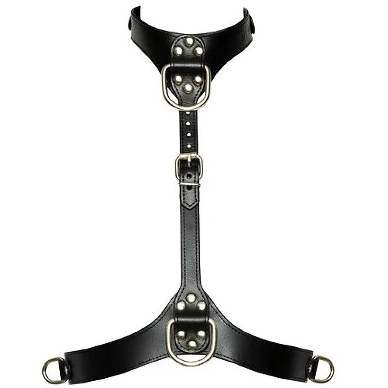 Bad Kitty Adjustable Chest Bondage Harness by Orion - Her Fetish
