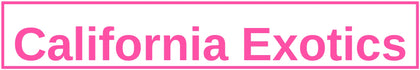 California Exotics
