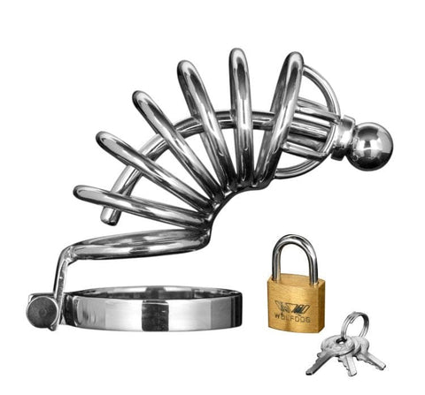 Asylum 6 Ring Locking Chastity Cage by XR Brands - Male Chastity