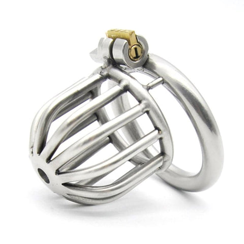 Asylum Male Chastity Cock Cage by BDStyle - Male Chastity