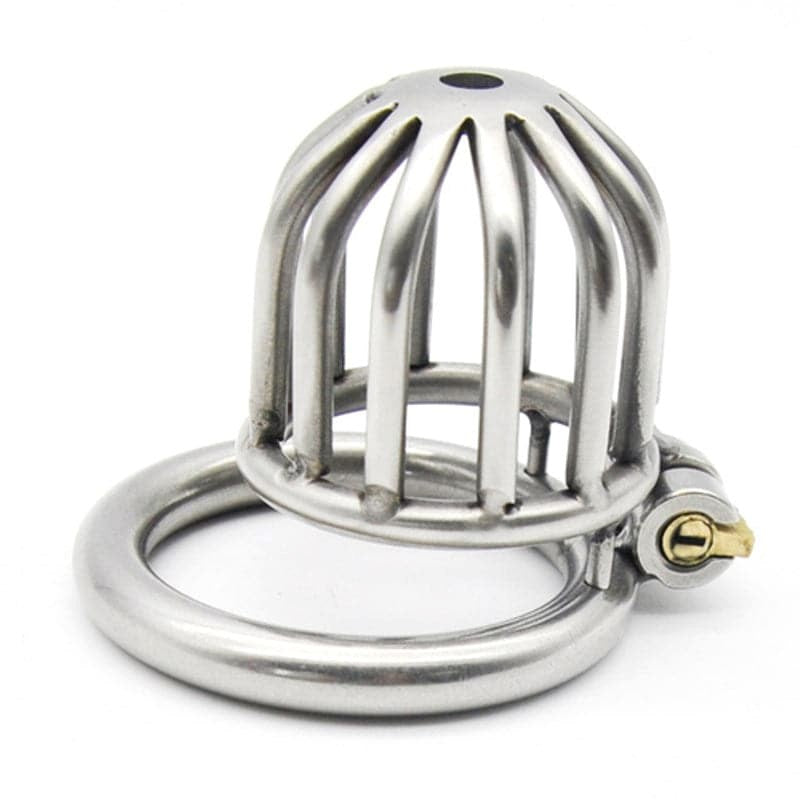 Asylum Chastity Cage - - Male Chastity