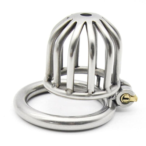 Asylum Male Chastity Cock Cage by BDStyle - Male Chastity