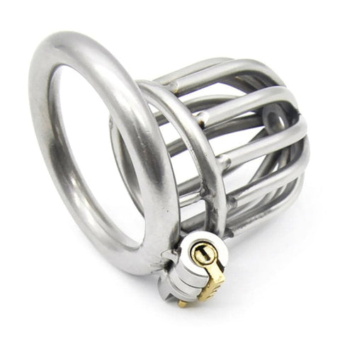 Asylum Male Chastity Cock Cage by BDStyle - Male Chastity