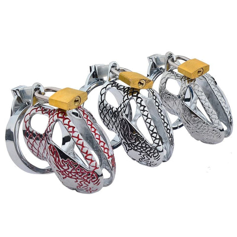 Bird Lock Chastity Cage Silver by BDStyle - Male Chastity