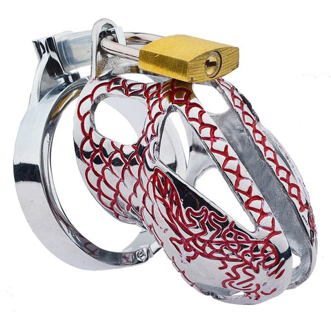 Bird Lock Chastity Cage Silver by BDStyle - Male Chastity