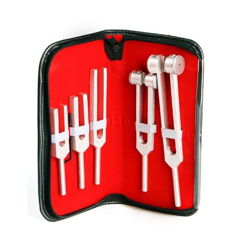 Delish Sex Tuning Fork Set - - Penis Plugs