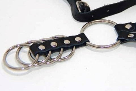Gates of Hell Harness 2 Rings by BDStyle - Male Chastity