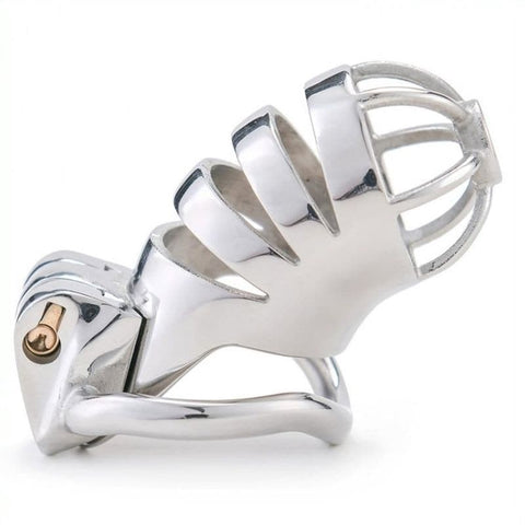 Bird Cage Stainless Steel Chastity Device by BDStyle - Male Chastity