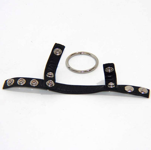 Leather Testicle & Metal Penis Rings by BDStyle - Cock Rings