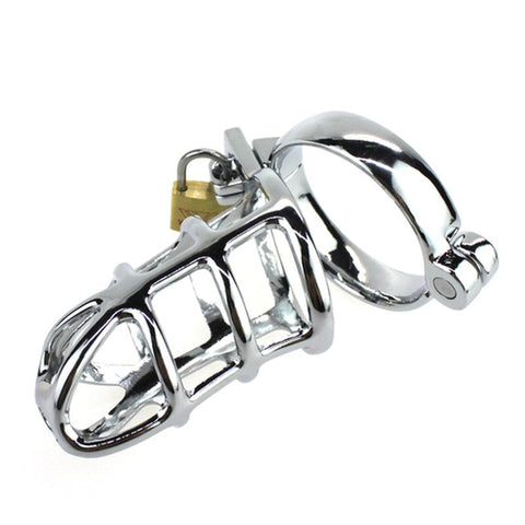 SteLions Den Steel Cock Cage by BDStyle - Ball and Cock Toys