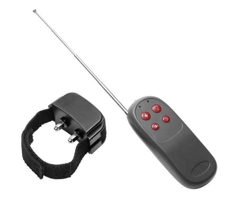 Cock Shock Remote Cbt Electric Cock Ring - - Cock Rings