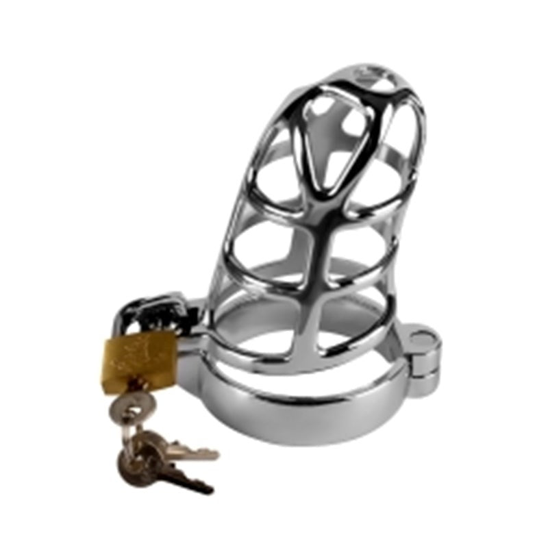 Detained Metal Chastity Cage - - Male Chastity