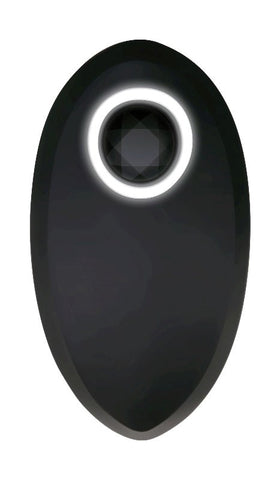 Backdoor Banger Butt Plug Silicone by Evolved - Butt Plugs