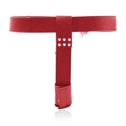 Female Chastity Belt With Double Vibration Plug by BDStyle - Male Chastity