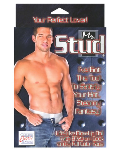 Mr Stud Love Doll by California Exotics - Love Dolls