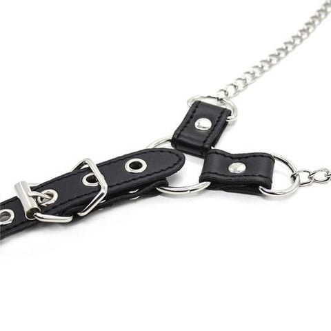 Nipple Clamps and 38 mm Cock Ring by BDStyle - Cock Rings