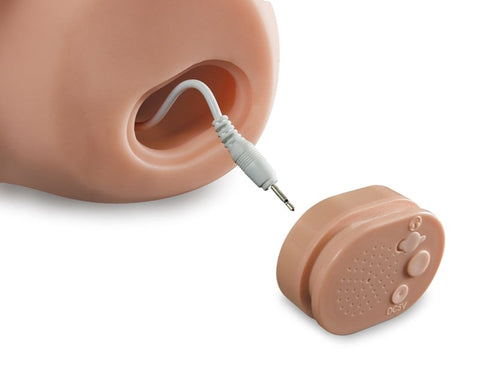 Extreme Male Dirty Talk Interactive Stroker by Pipedream - Realistic Butts And Vaginas