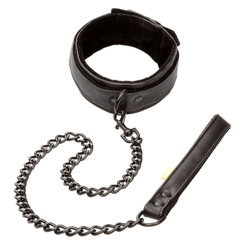 Boundless Collar and Leash - - Collars And Cuffs