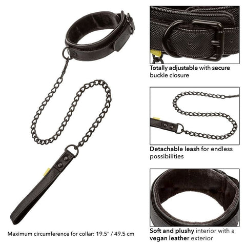 Boundless Bondage Collar and Leash by California Exotics - Collars and Leads