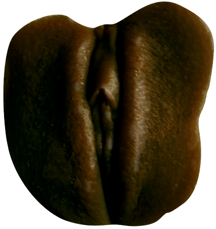 Clone-A-Pussy Edible Milk Chocolate by Empire Labs - Moulding Kits