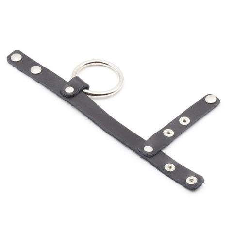 Cock Ring Harness With Ball Divider by BDStyle - Ball and Cock Toys