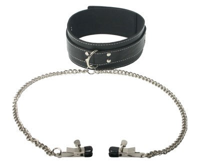 Coveted Collar And Clamp Union by XR Brands - Collars and Leads
