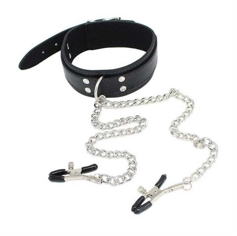 Coveted Collar And Clamp Union by XR Brands - Collars and Leads