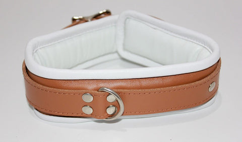 Dungeon Delights Asylum Collar Padded by BDStyle - Collars and Leads