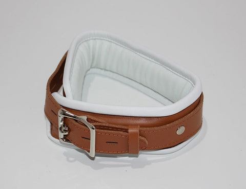 Dungeon Delights Asylum Collar Padded by BDStyle - Collars and Leads