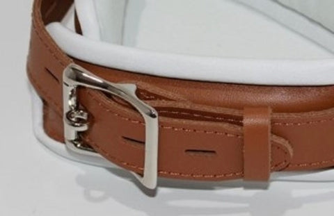 Dungeon Delights Asylum Collar Padded by BDStyle - Collars and Leads