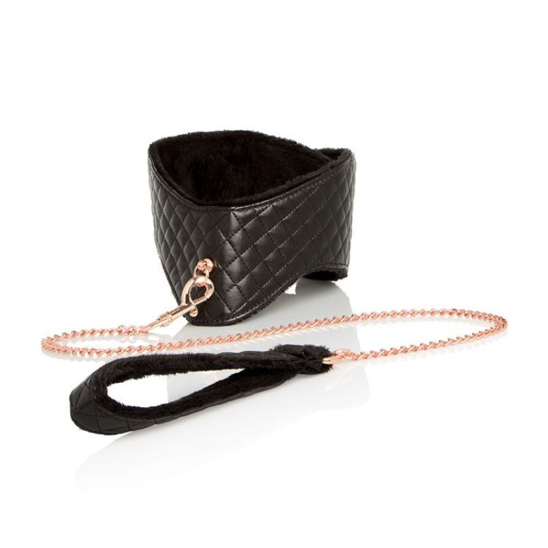 Entice Posture Collar with Leash - - Collars And Cuffs