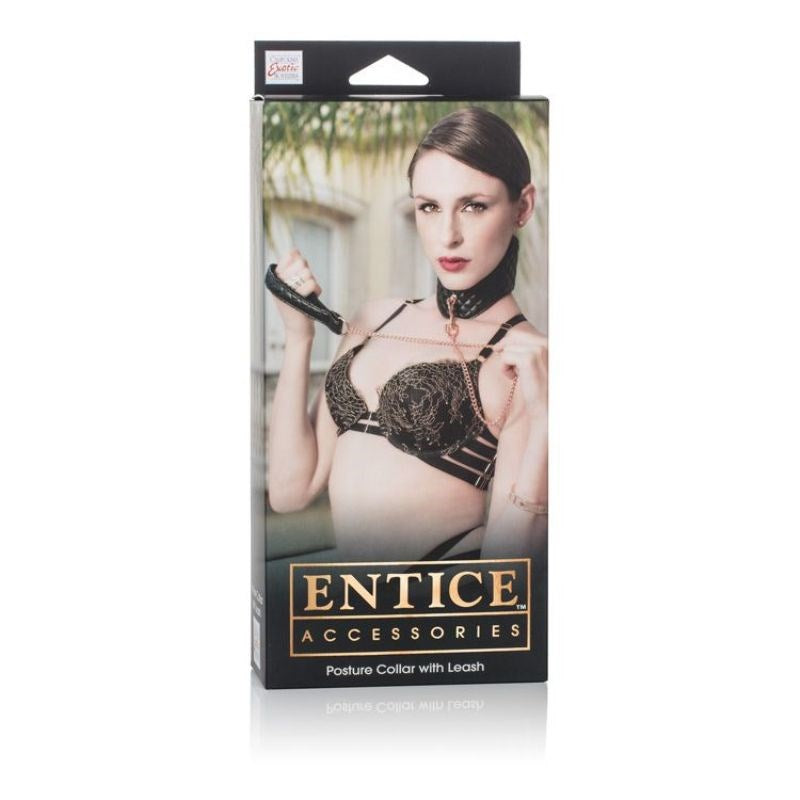 Entice Posture Collar with Leash - - Collars And Cuffs