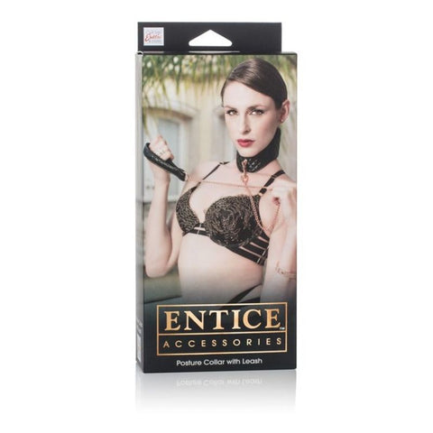 Entice BDSM Play Posture Collar with Leash - Collars and Leads